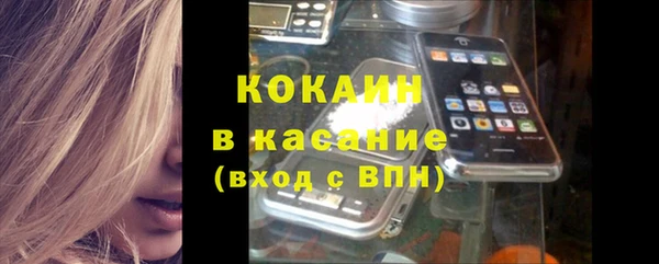 прущие грибы Армянск