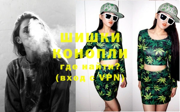 прущие грибы Армянск