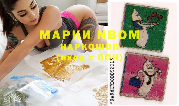 прущие грибы Армянск