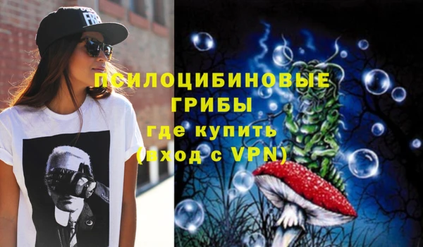 прущие грибы Армянск
