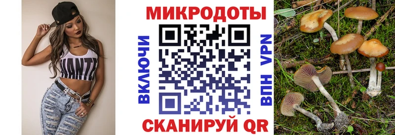 Псилоцибиновые грибы ЛСД Волгодонск